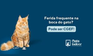 clinica para gatos em porto alegre catsindoor granuloma eosinofilico em gatos feridas na boca o que pode ser